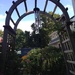View through the garden arch by pfaith7