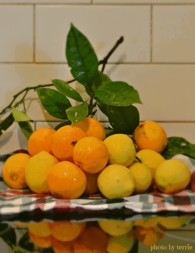 Oranges & Lemons by teodw