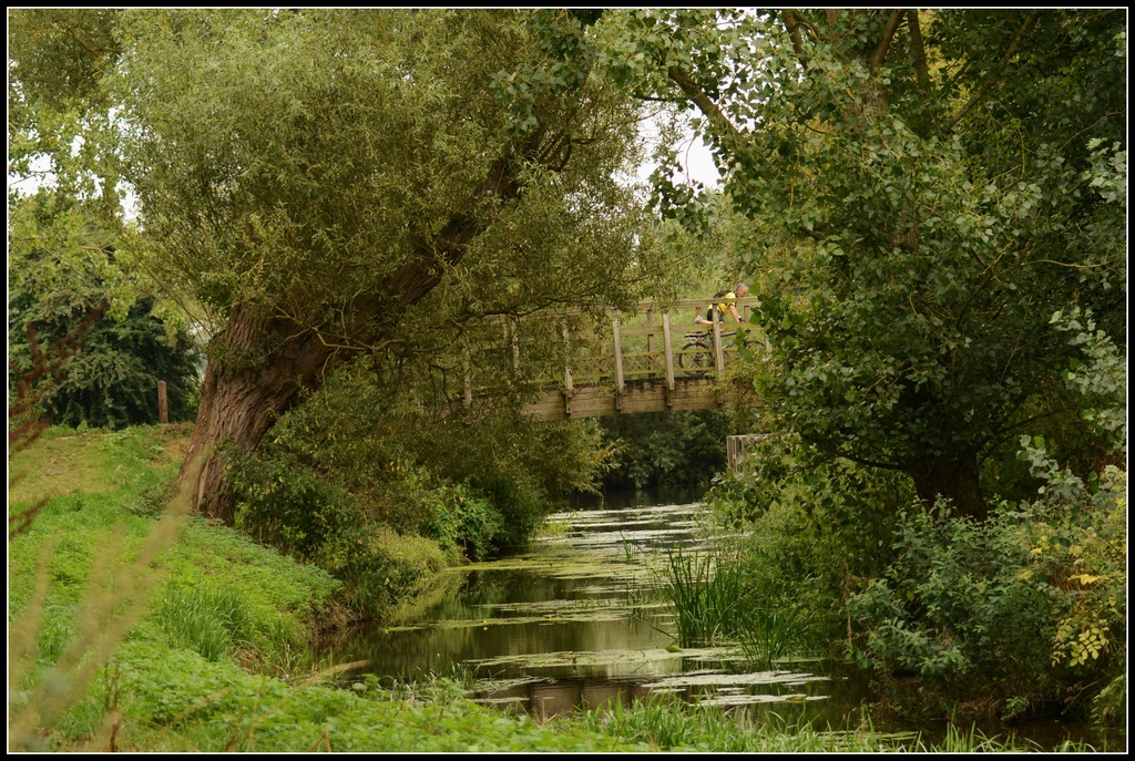 The Brook by rosiekind