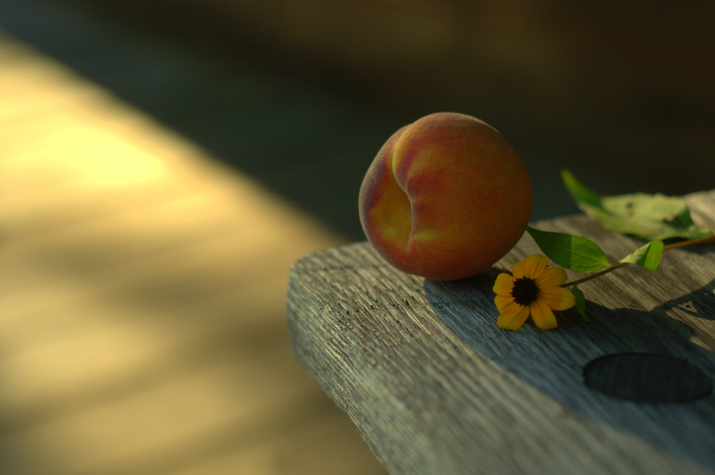 Peach Season.... by jayberg