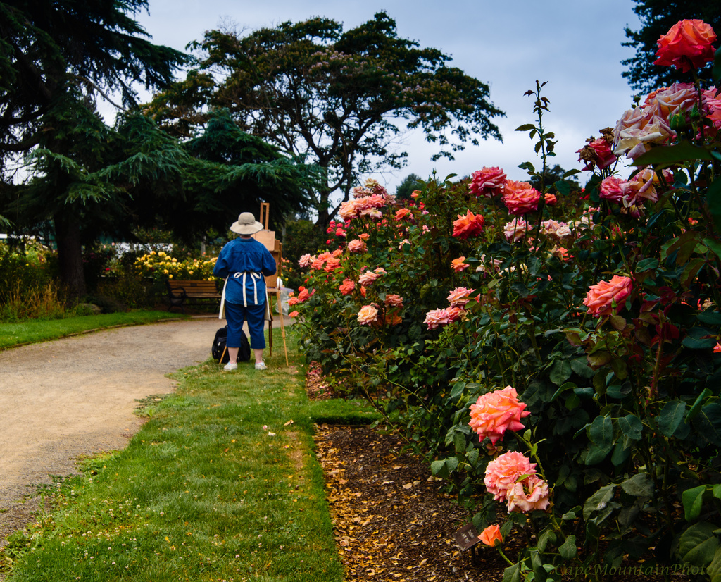 Painter In the Rose Garden  by jgpittenger