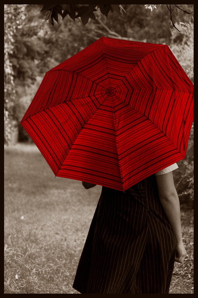 Rain Reddy by pictureme