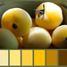 Sunlight On Yellow Tomatoes Color Palette! by paintdipper