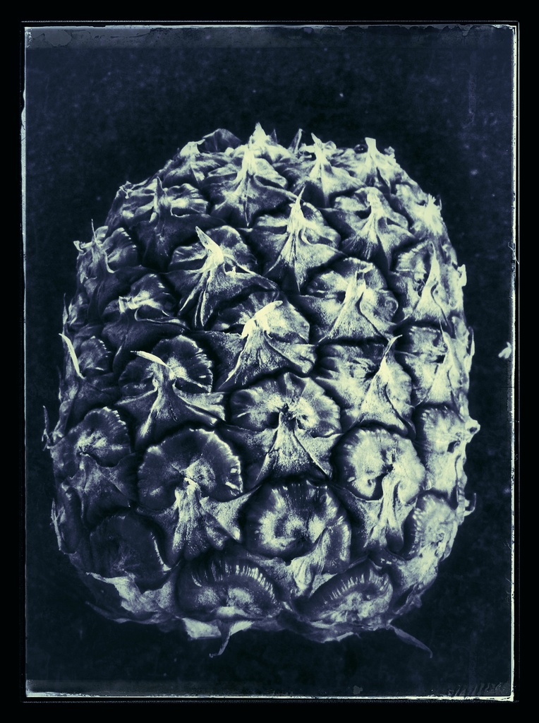 Pineapple by spanner