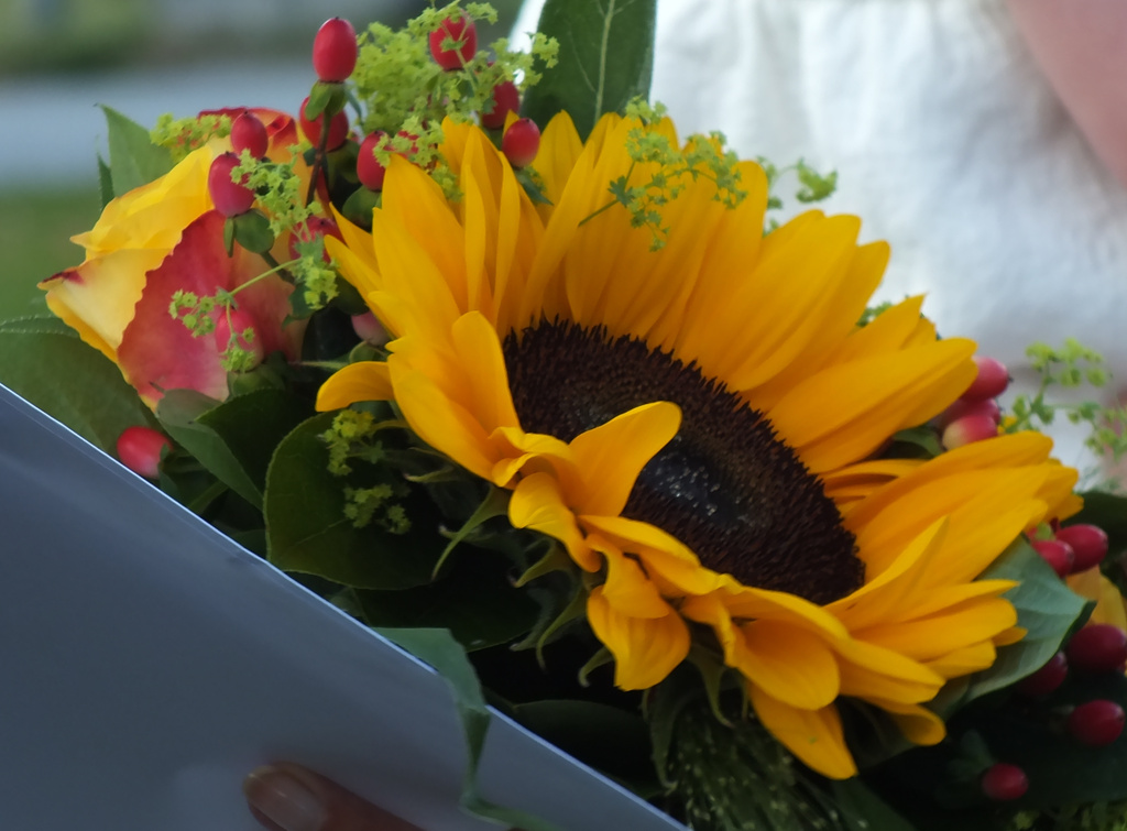 Sunflowers for the bride by kiwinanna