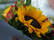 24th Aug 2013 - Sunflowers for the bride