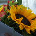 Sunflowers for the bride by kiwinanna