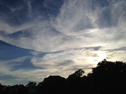 25th Aug 2013 - Colonial Lake skies, Charleston, SC