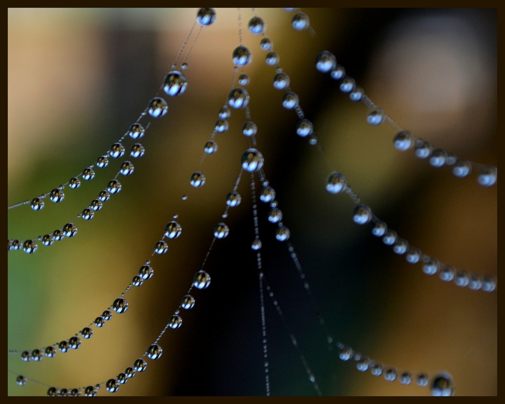 Spiders Crystels..  by julzmaioro
