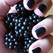 16th Aug 2013 - Blackberries