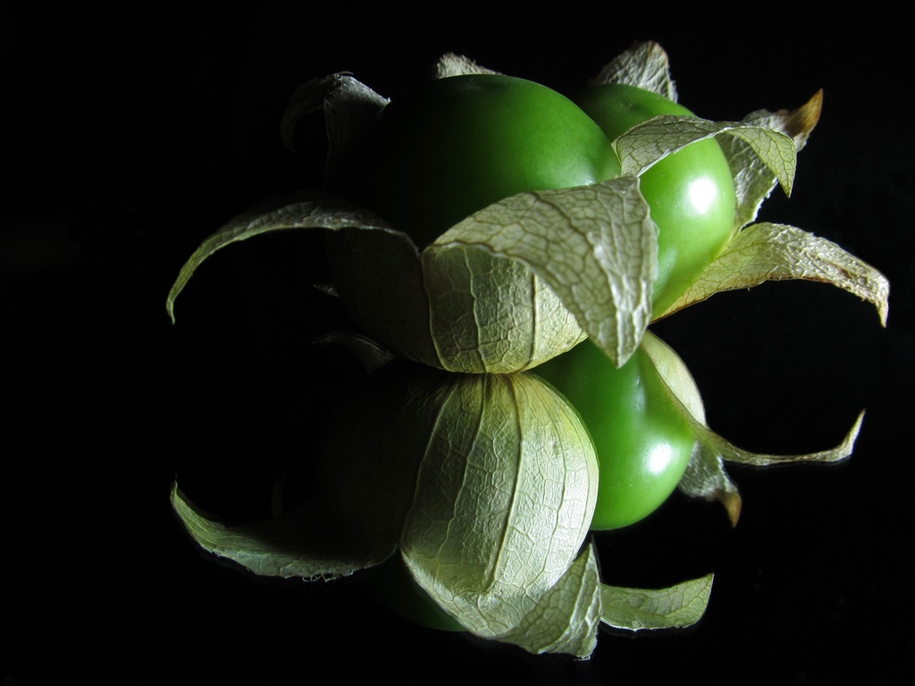 Tomatillos by paintdipper