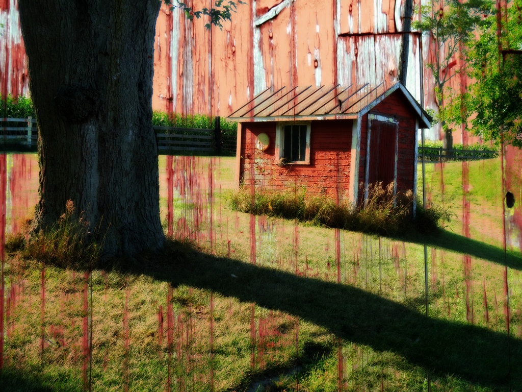 Shed and Shadows by juliedduncan