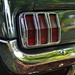 Reflecting on a Mustang...  by soboy5