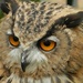 Eagle Owl by fishers