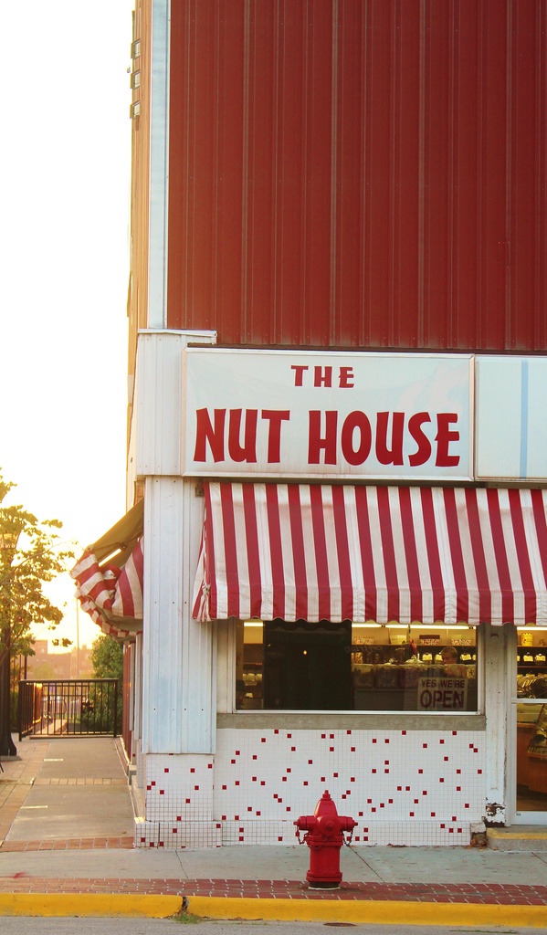 Nut House by edorreandresen