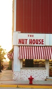 27th Aug 2013 - Nut House