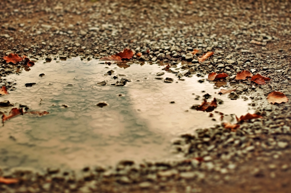 puddle - heart by walia