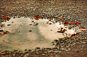 21st Aug 2013 - puddle - heart