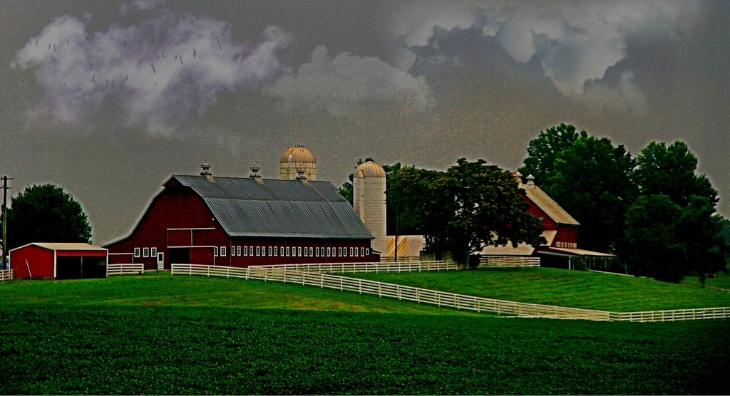 Rainy Day Farm by sbolden