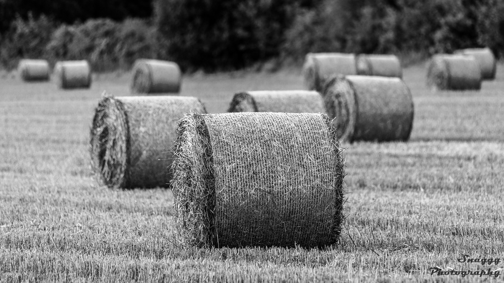 Day 233 - Pyramid of Bales by snaggy