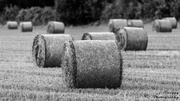 21st Aug 2013 - Day 233 - Pyramid of Bales