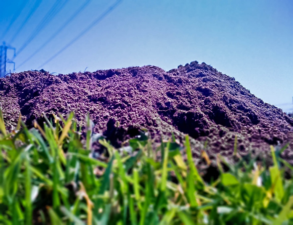 Making a Mountain Out of a Molehill by bradsworld