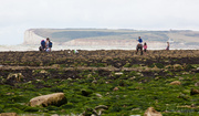 30th Aug 2013 - 30.8.13 Crabbing