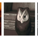 Owl Collage by houser934