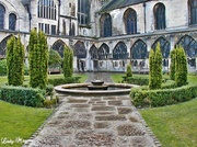 31st Aug 2013 - Cloister's Garden of Gloucester Cathedral.