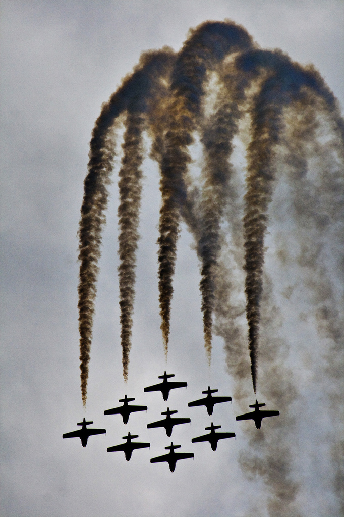 Snowbirds by pdulis