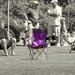 purplechair by homeschoolmom
