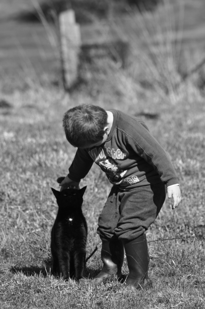 The Kid & the Other Cat by wenbow