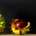 Conkers~2 by seanoneill