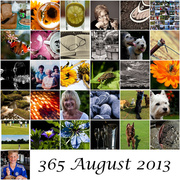 1st Sep 2013 - 31st august 2013 August mosaic