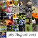 31st august 2013 August mosaic by pamknowler