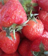 1st Sep 2013 - Strawberries