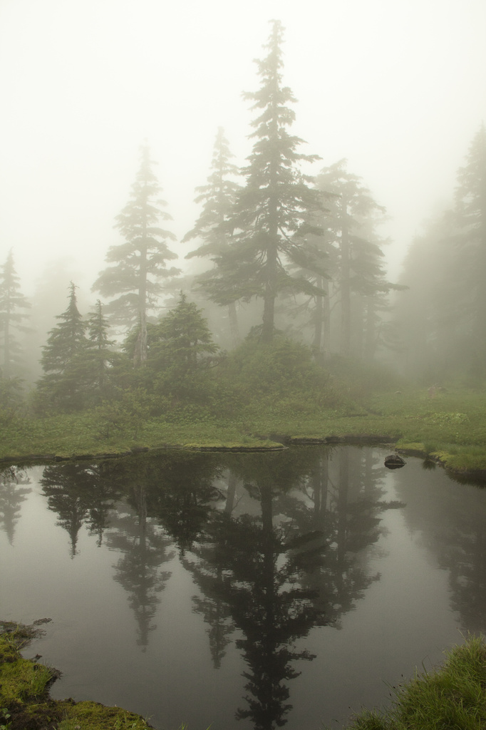 Mountain mist. by jgoldrup