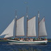 Sailing in Charleston Harbor, Charleston, SC by congaree