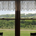 Window with a View by genealogygenie