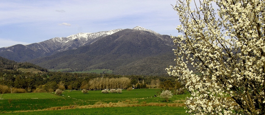 Mt. Bogong by pictureme