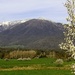 Mt. Bogong by pictureme