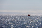 30th Aug 2013 - Blue off Budleigh