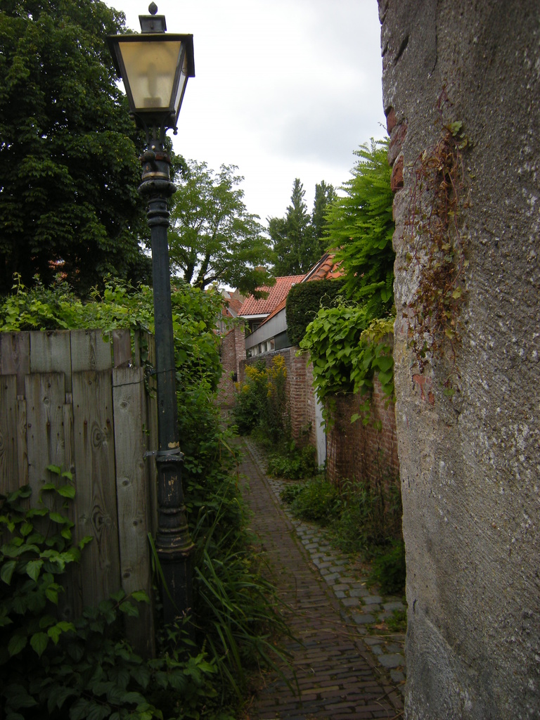 Alley by pyrrhula