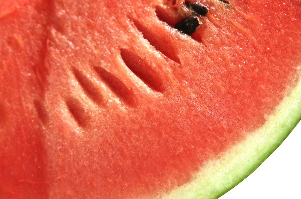 Watermelon by houser934