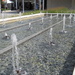 New fountains at Oakbrook Center by kchuk