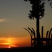 'tree' at sunset by quietpurplehaze
