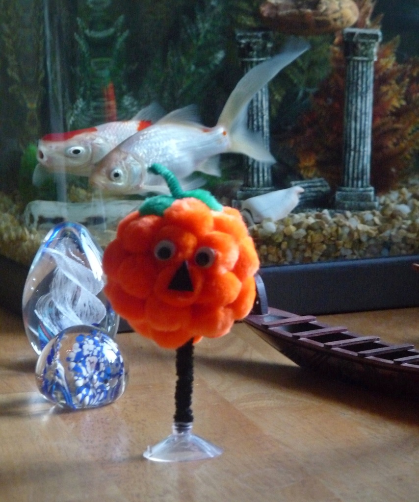 Pumpkin Dorkyball by sabresun