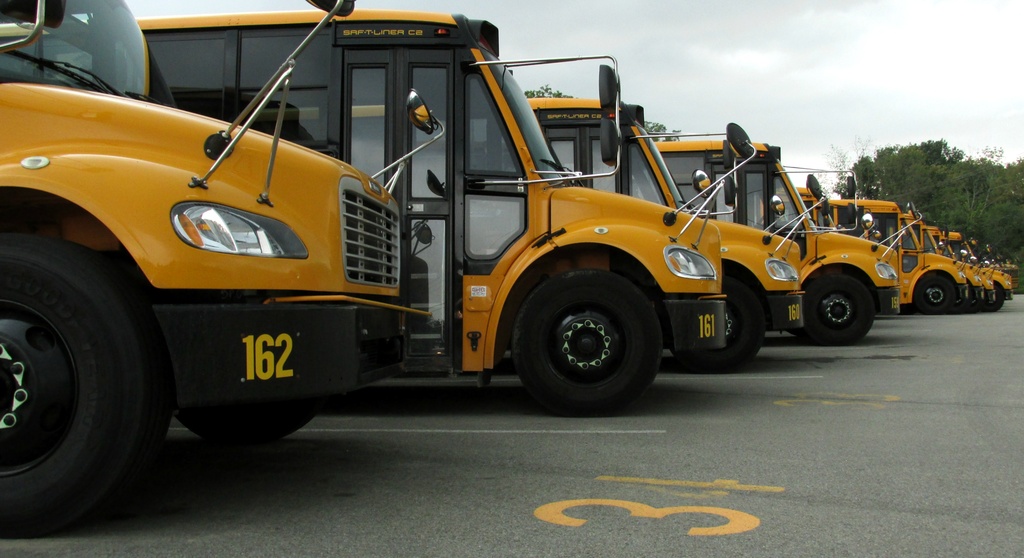 School busses by mittens