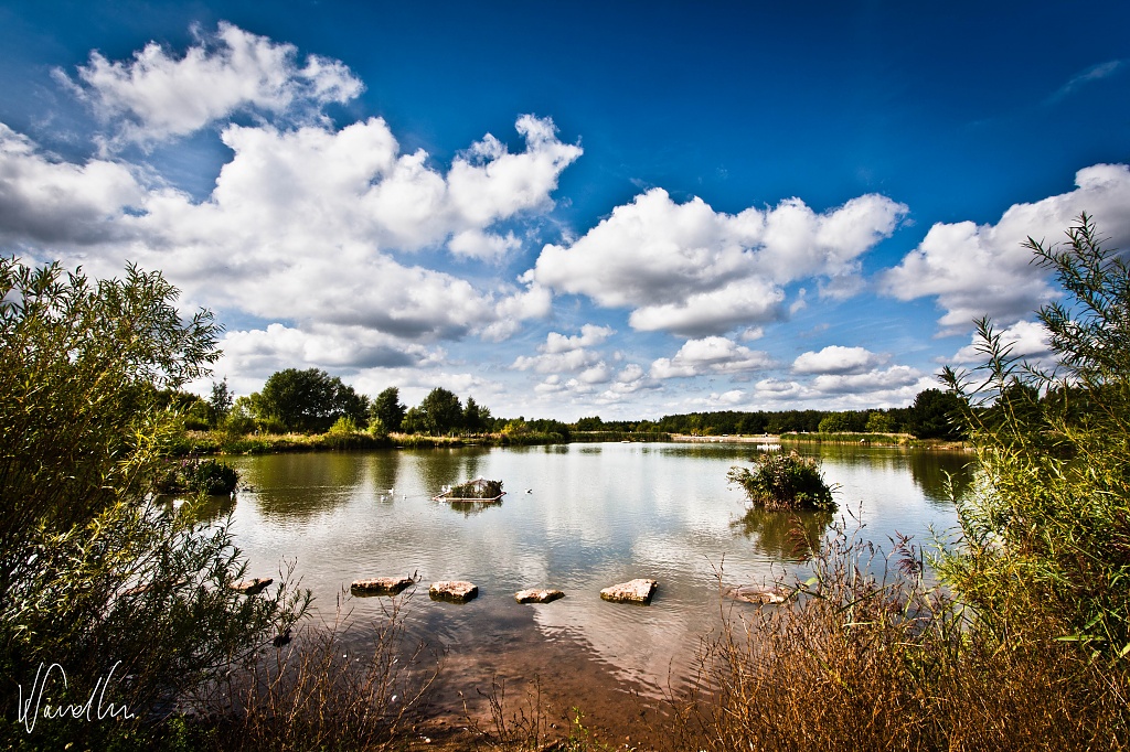 Rushcliffe Country Park by vikdaddy
