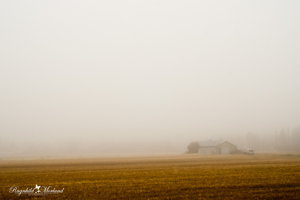 Morning Mist by ragnhildmorland